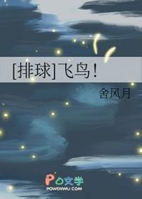 排球少年之飞翔
