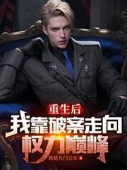 重生后我靠破案走向权力巅峰百度