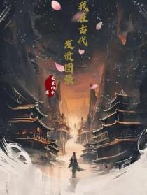 我在古代发家致富txt