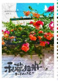 私藏相册常以念大结局