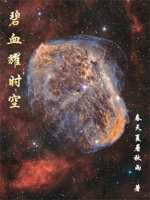 碧血长空百度百科