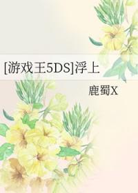 游戏王5d`s
