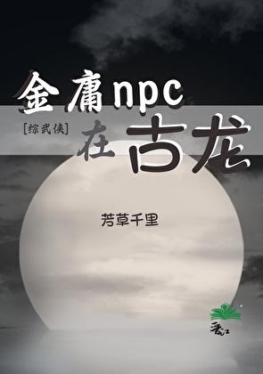 穿越金庸综武类