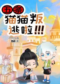 五条猫图片