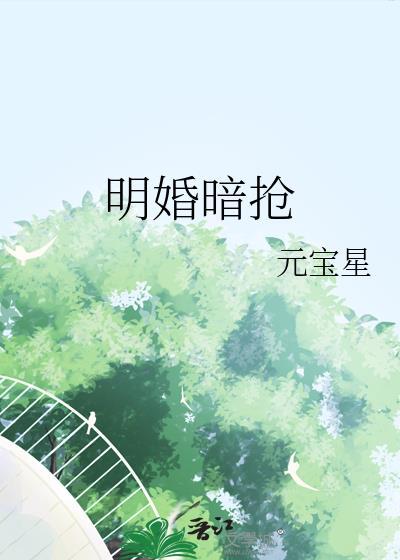 明婚暗抢全文免费