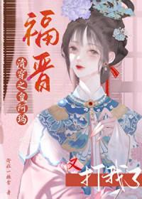 清穿阿哥福晋的