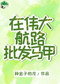 海贼王伟大航道第几集