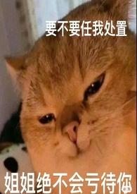 论女a与哨向的兼容性txt