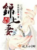 锦上妻晋江