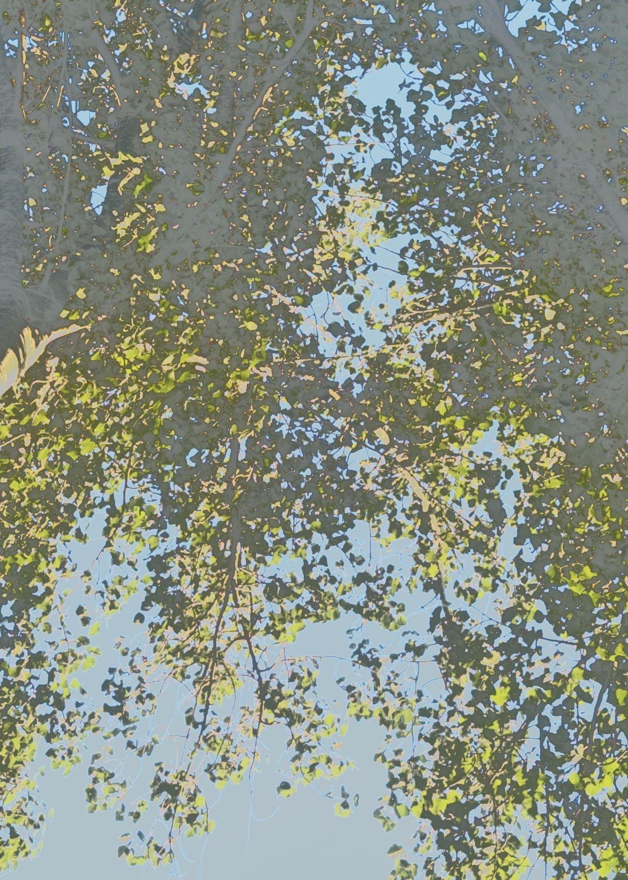 难道我受不起这个热吻歌词