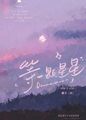 等一颗星星魔安txt