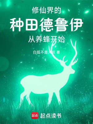 德鲁伊小游戏攻略