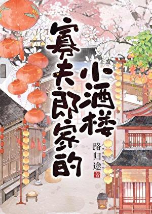 寡夫郎家的小酒楼番外txt
