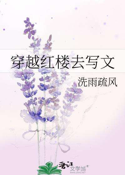 穿越红楼写的比较好的