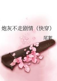 炮灰不走剧情